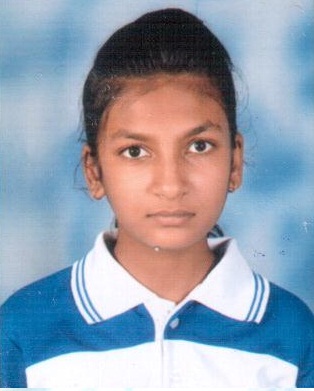 Owl Image