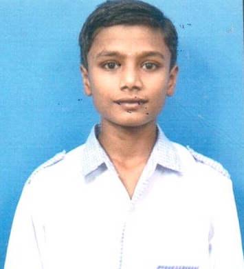 Owl Image